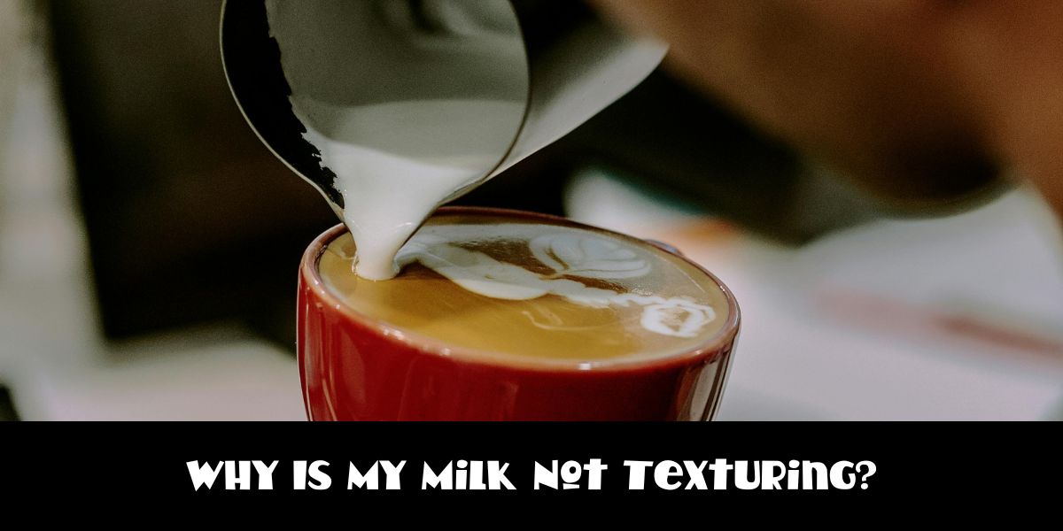Why Is My Milk Not Texturing? (Troubleshooting Guide) 