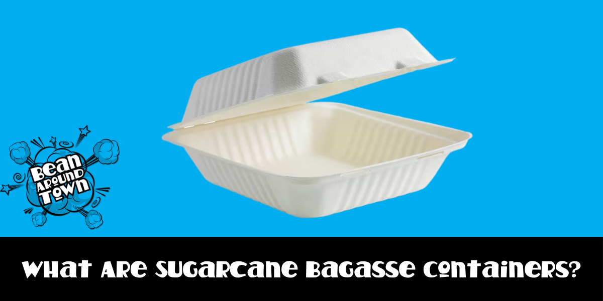 What Are Sugarcane Bagasse Containers
